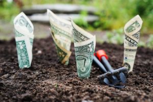 Dollar rolled up into cones placed in soil with a gardening tool next to them as if the dollars were just planted in the ground and are now growing.