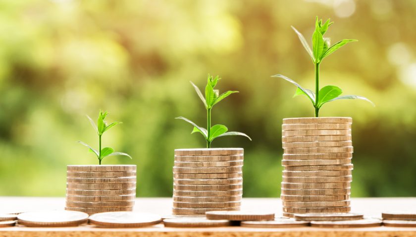 three stacks of coins with plants growing from them